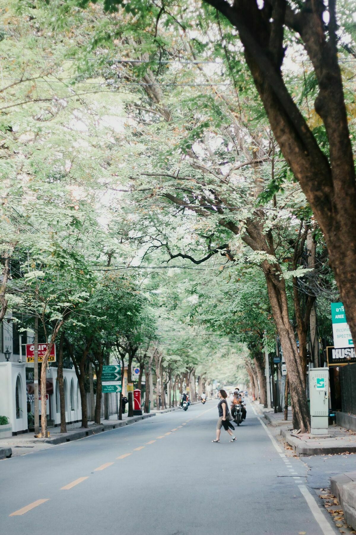 Weeping Willow Sukhumvit 26 Бангкок Экстерьер фото
